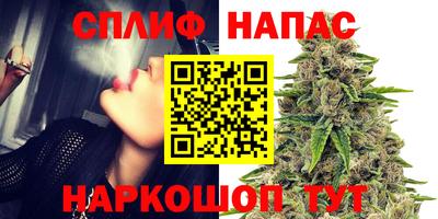 ECSTASY Гусь-Хрустальный