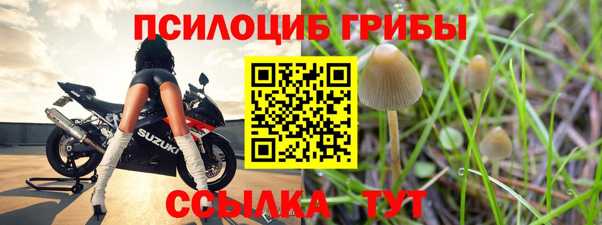 Галлюциногенные грибы Magic Shrooms  Псилоцибиновые грибы Magic Shrooms  Менделеевск  Вход с VPN 